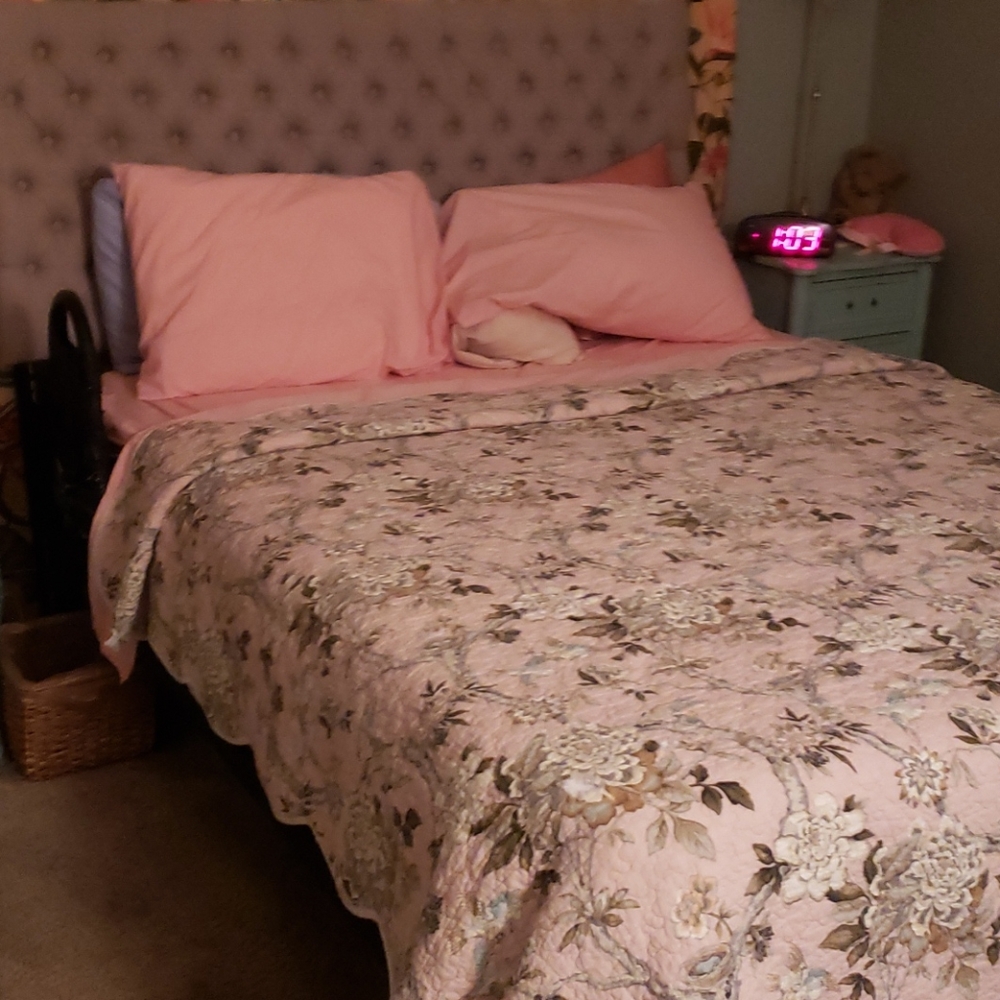 Temperedic memory cooling foam adjustable bed